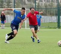 泰达转会消息